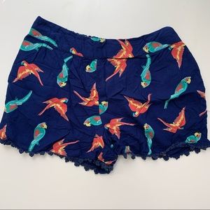 Parrot bird shorts